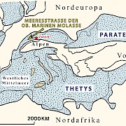 Die Verteilung der Meere um Europa während der Zeit der Oberen Marinen Molasse (ca. 18 Mill. Jahre vor heute).